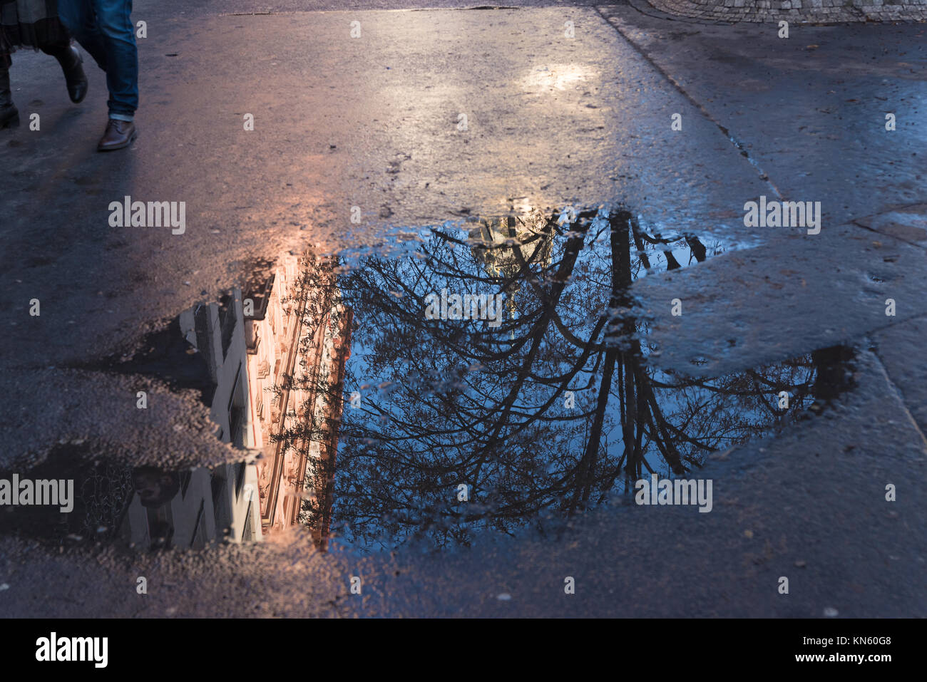 reflection in a puddle of water on a sidewalk in prague Stock Photo - Alamy