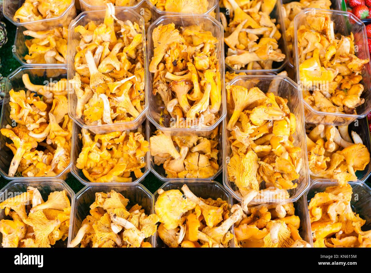 chanterelles, market in Forcalquier, Provence, France Stock Photo Alamy