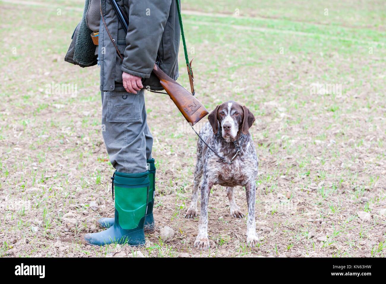 hunting dog with hunter. Stock Photo
