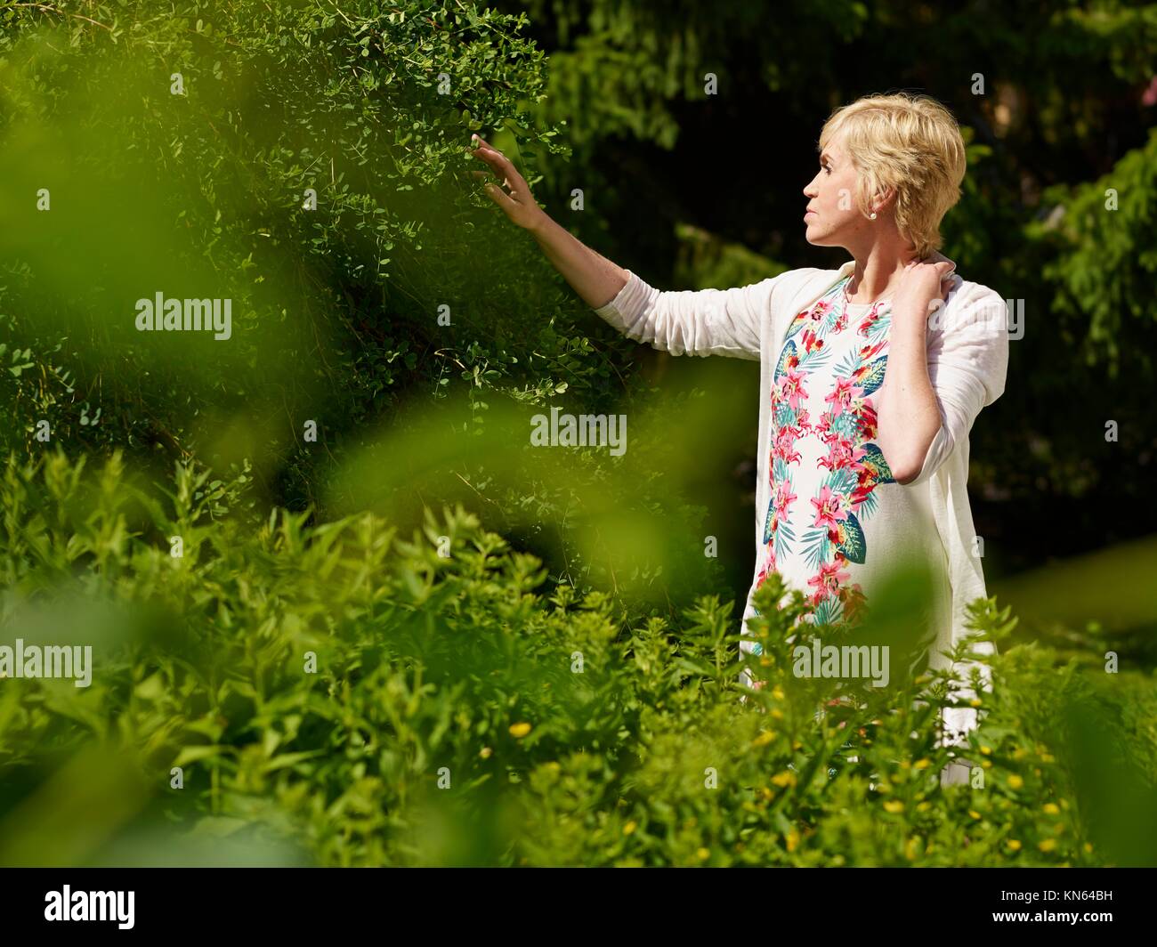 Beautiful mature woman in a garden, sunny summerday. Stock Photo