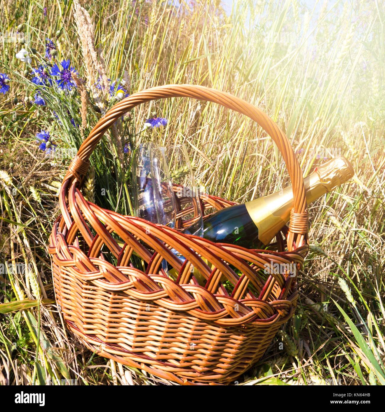 picnic basket in cornfield in summer time Stock Photo Alamy