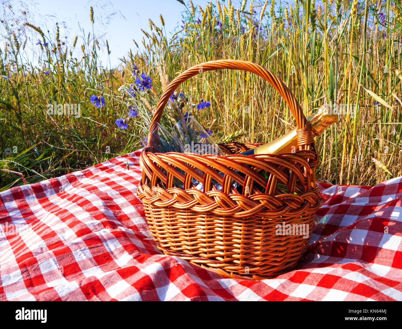 picnic blanket with champagne, strawberries and croissant. Stock Photo