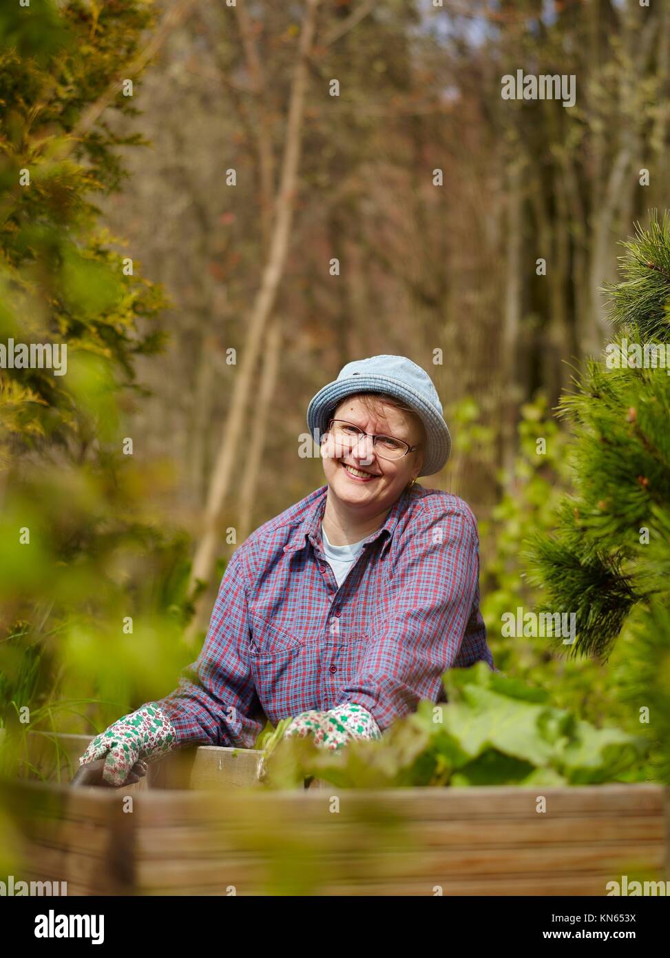 Woman weeding in the garden and she use protective gloves. Stock Photo