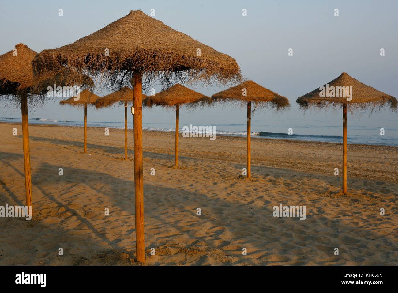 Rustic brown sun umbrellas made of natural fibers on a nice beach in Costa del Sol, Spain. Stock Photo