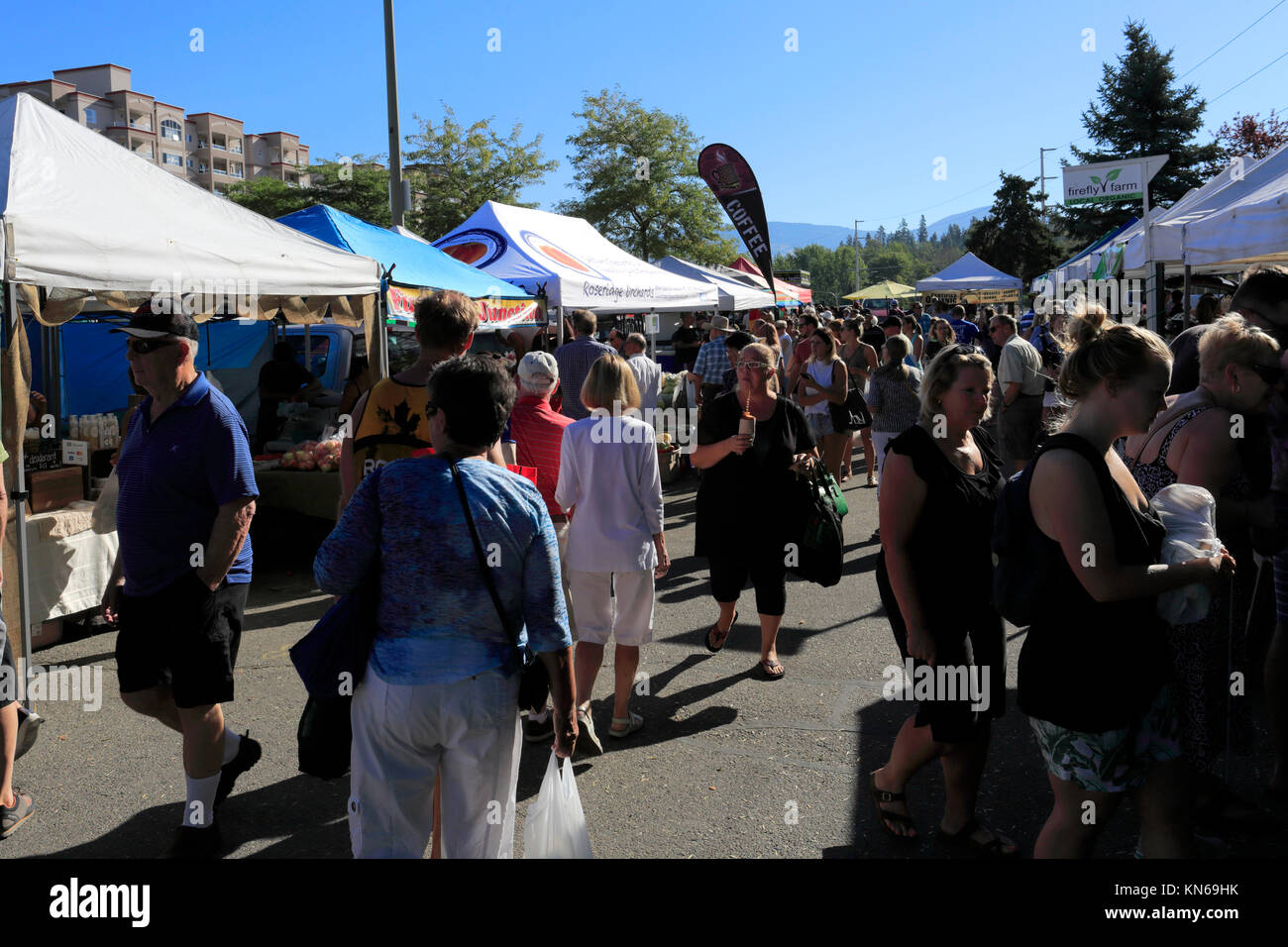 The weekly Farmers Market, Orchard Park shopping centre, Kelowna City, Okanagan valley, British Columbia, Canada. Stock Photo