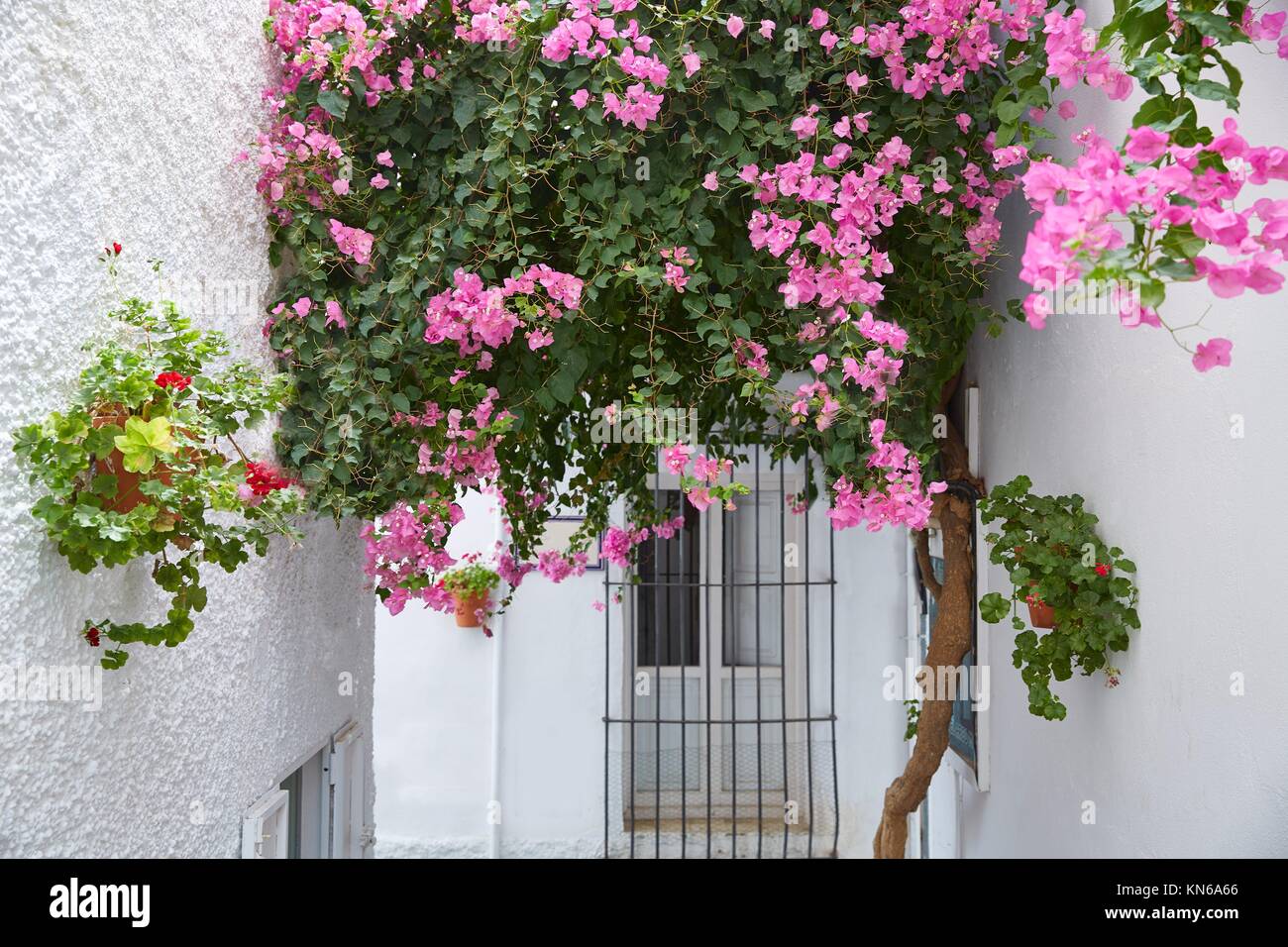 Mojacar Almeria white Mediterranean village in Spain Stock Photo - Alamy