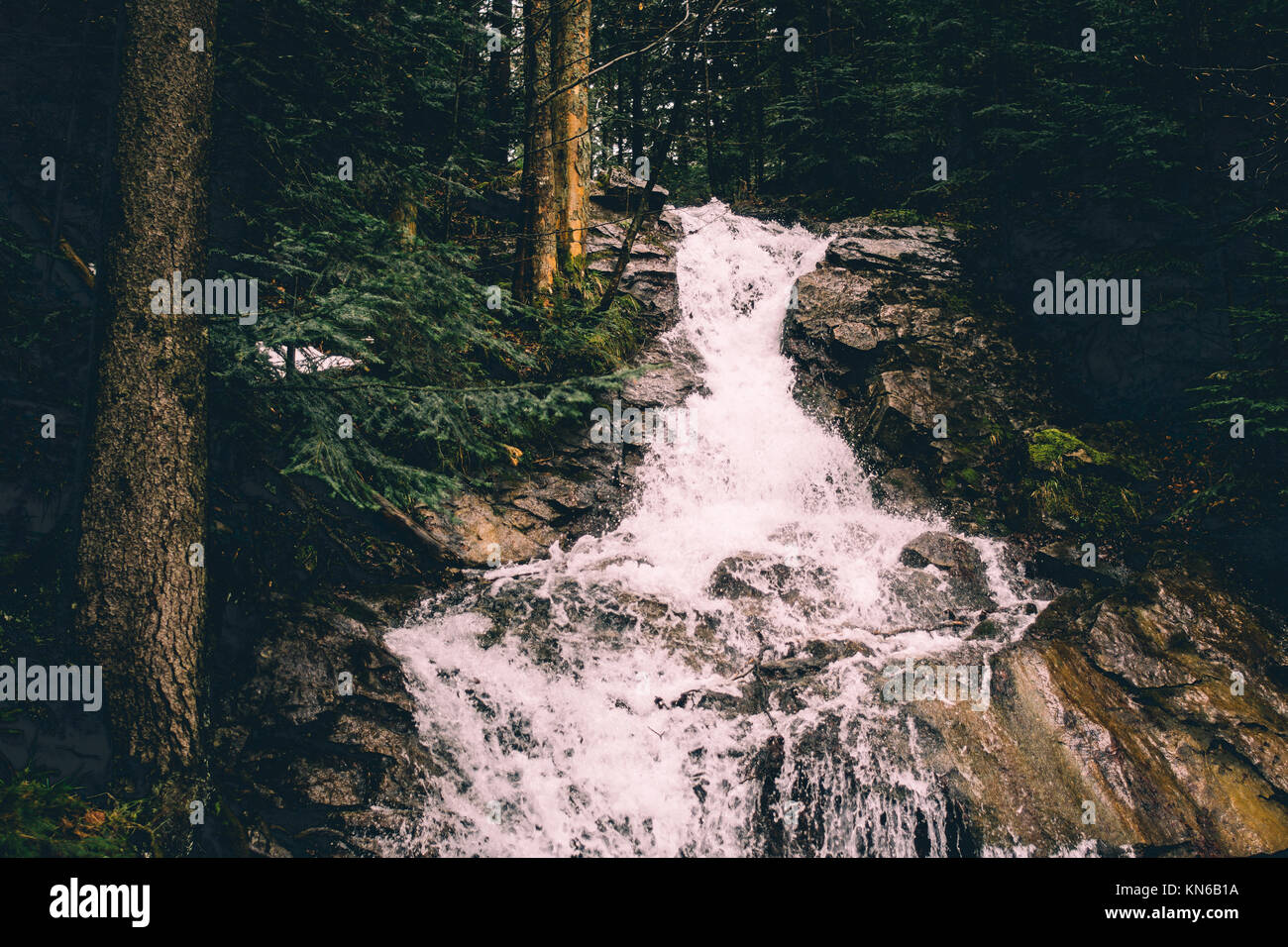 Waterfall on rocks in a forest Stock Photo - Alamy