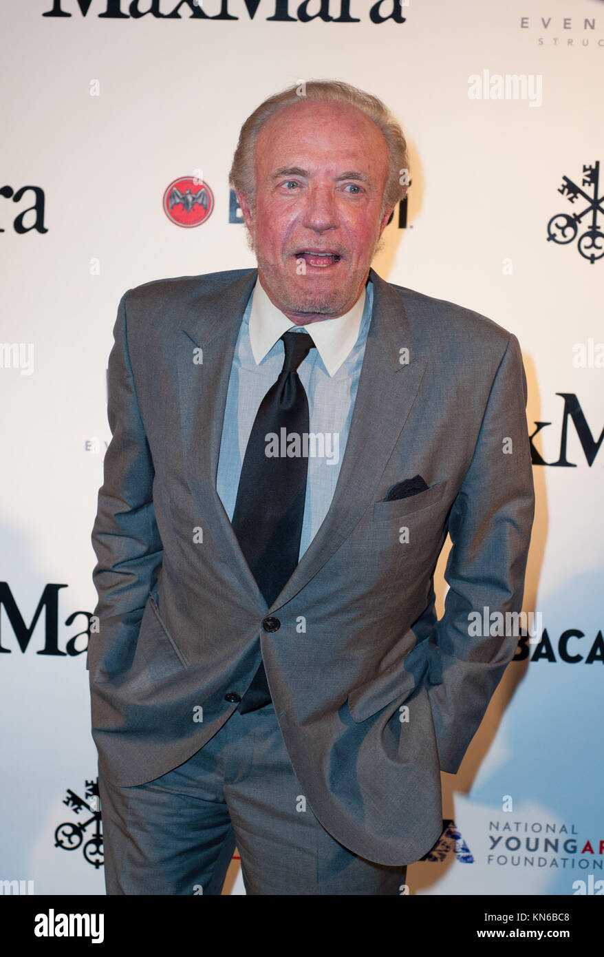 MIAMI, FL - JANUARY 10: James Caan attends 2015 YoungArts Backyard Ball at YoungArts Campus on January 10, 2015 in Miami, Florida  People:  James Caan Stock Photo
