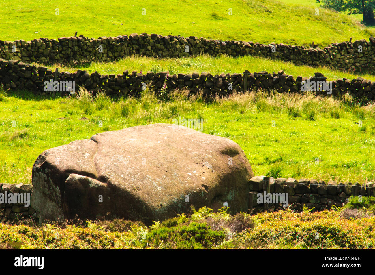 Lawn rocks shrubs hi-res stock photography and images - Alamy