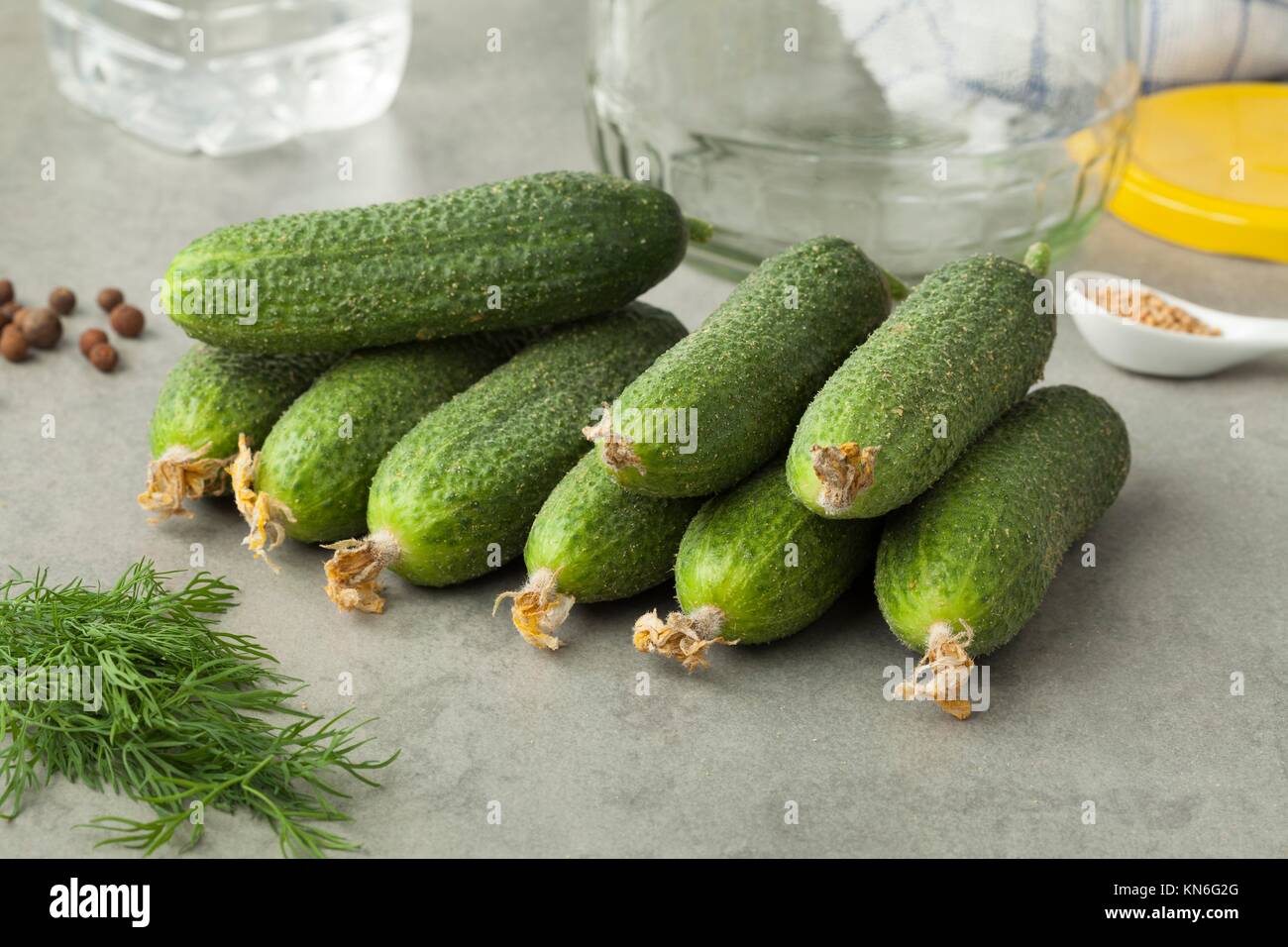 Fresh gherkins and herbs ready to pickle. Stock Photo