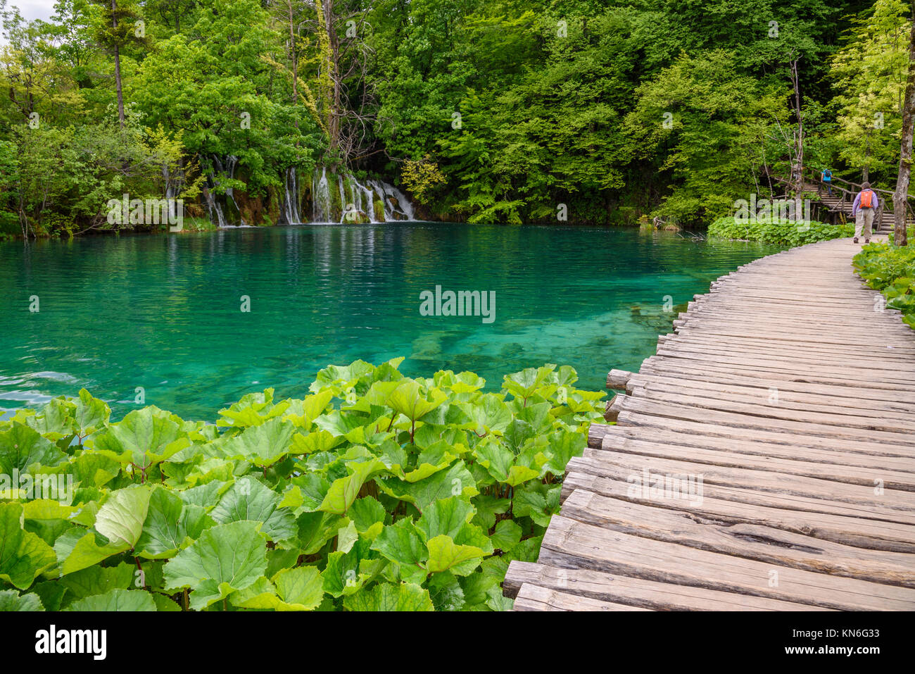 Boarwalk, Plitvice Lakes National Park, Croatia Stock Photo