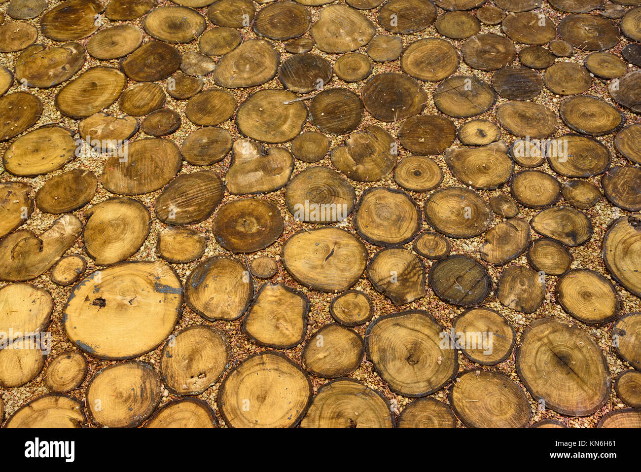 Pattern created by laying slices of tree trunks as a footpath, Plitvice Lakes National Park, Croatia Stock Photo
