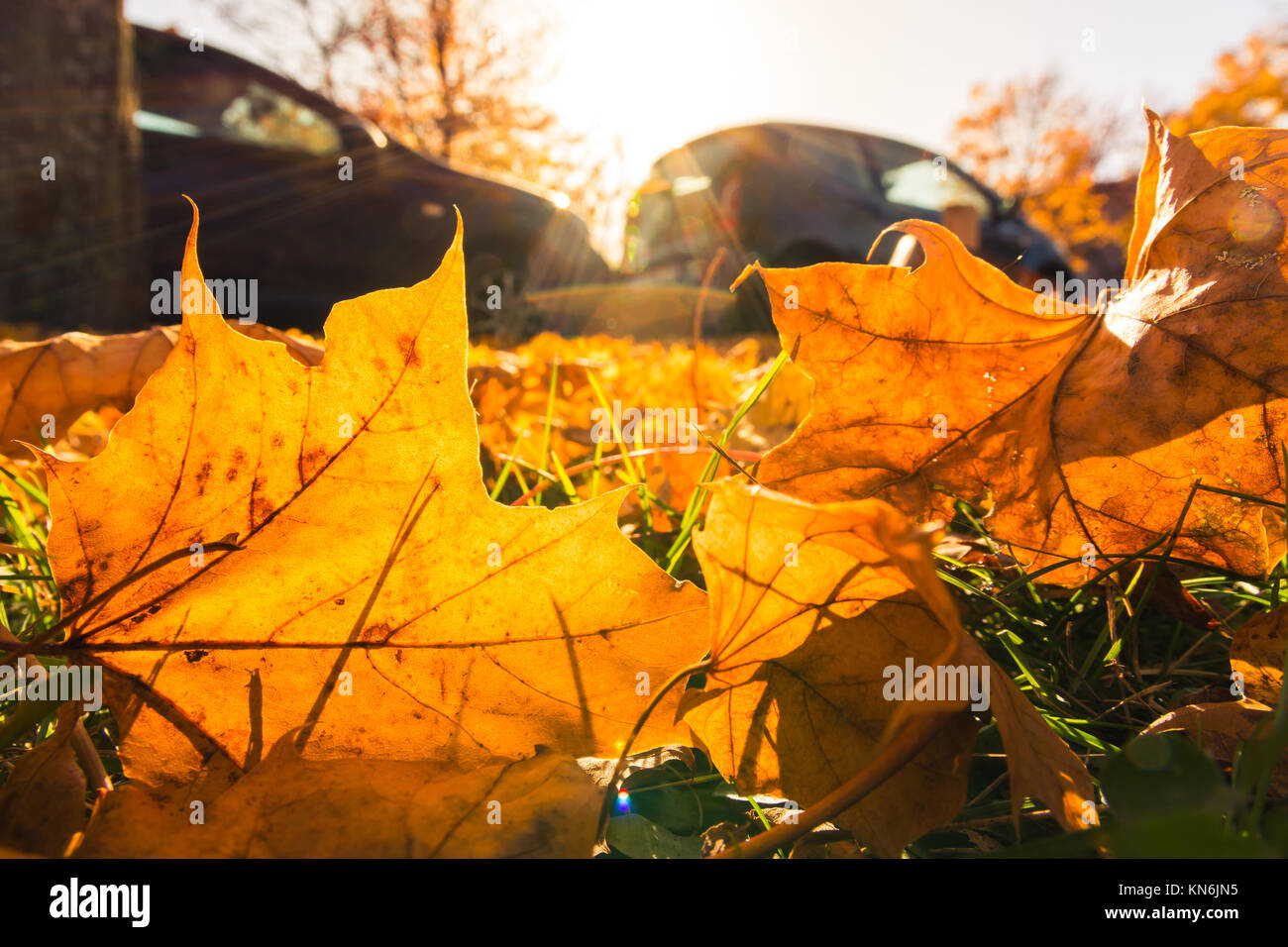 Changing seasons sunny hi-res stock photography and images - Alamy