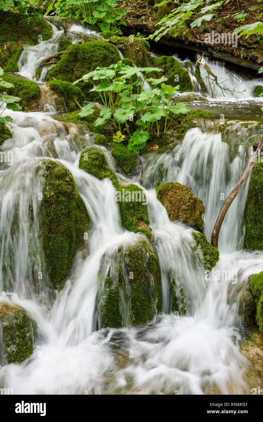 Plitvice Lakes National Park, Croatia Stock Photo