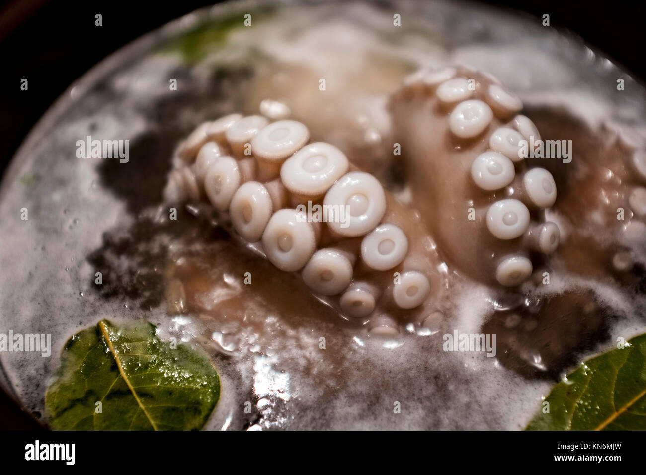 Octopus being cooked Stock Photo Alamy