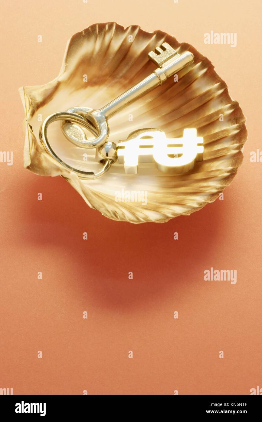 Key with $ symbol on seashell Stock Photo - Alamy