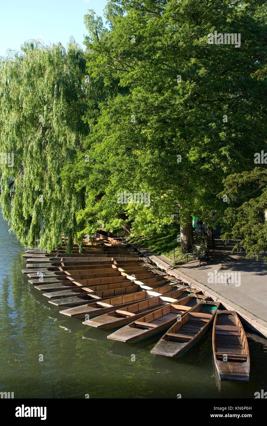 Cambridge boats. University of Cambridge. Stock Photo