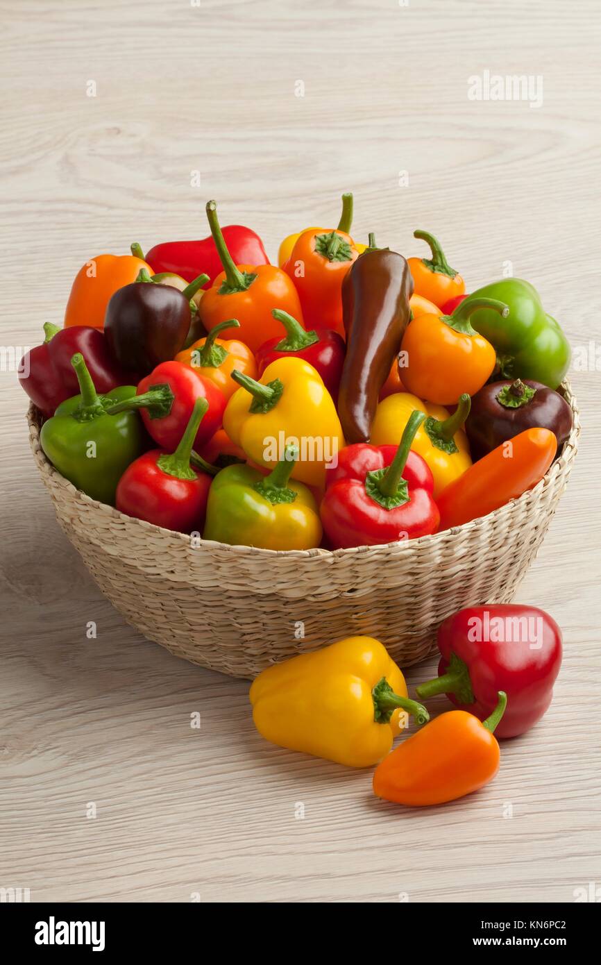 Basket filled with colorful vine sweet mini peppers Stock Photo Alamy