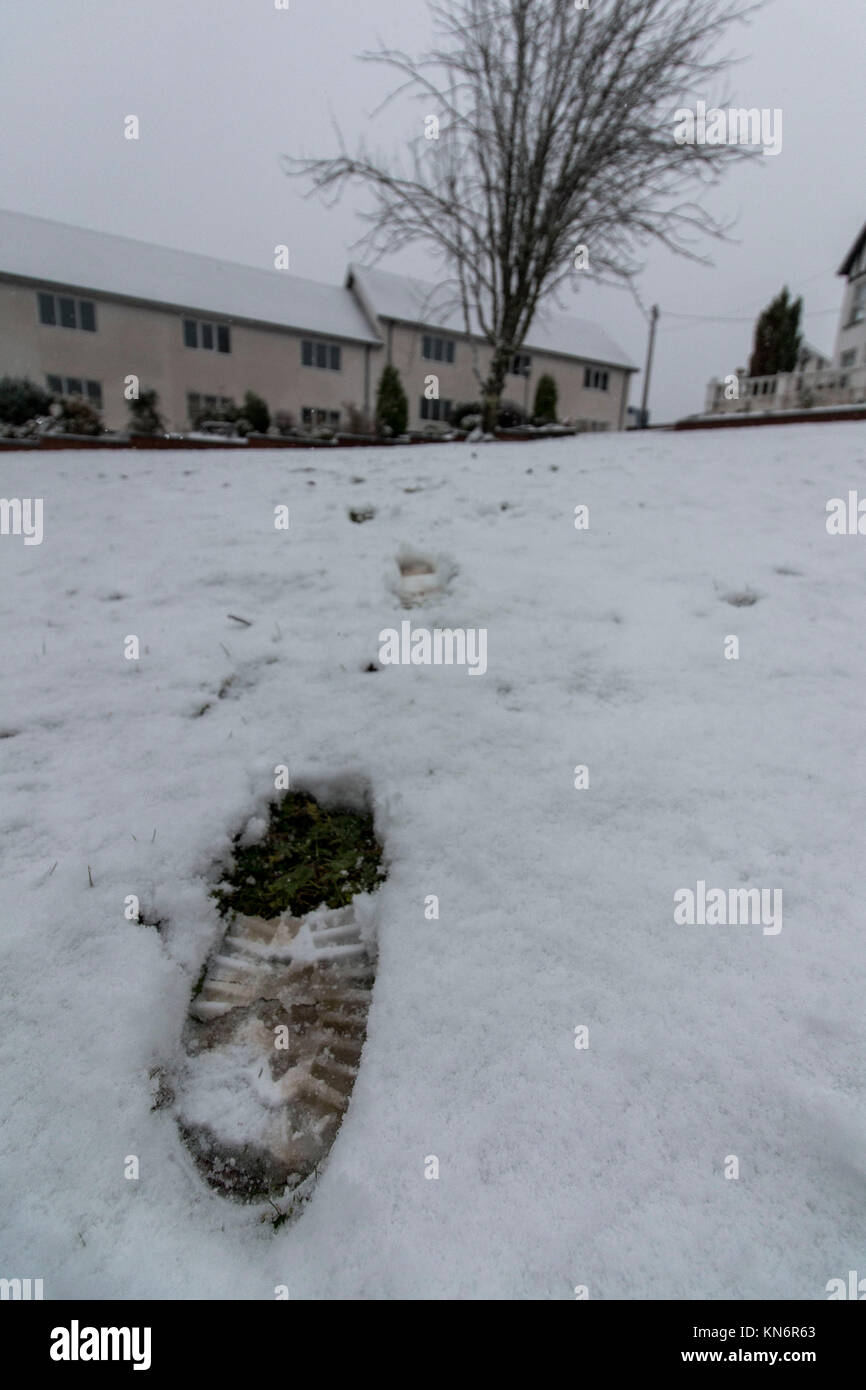 Comins coch hires stock photography and images Alamy