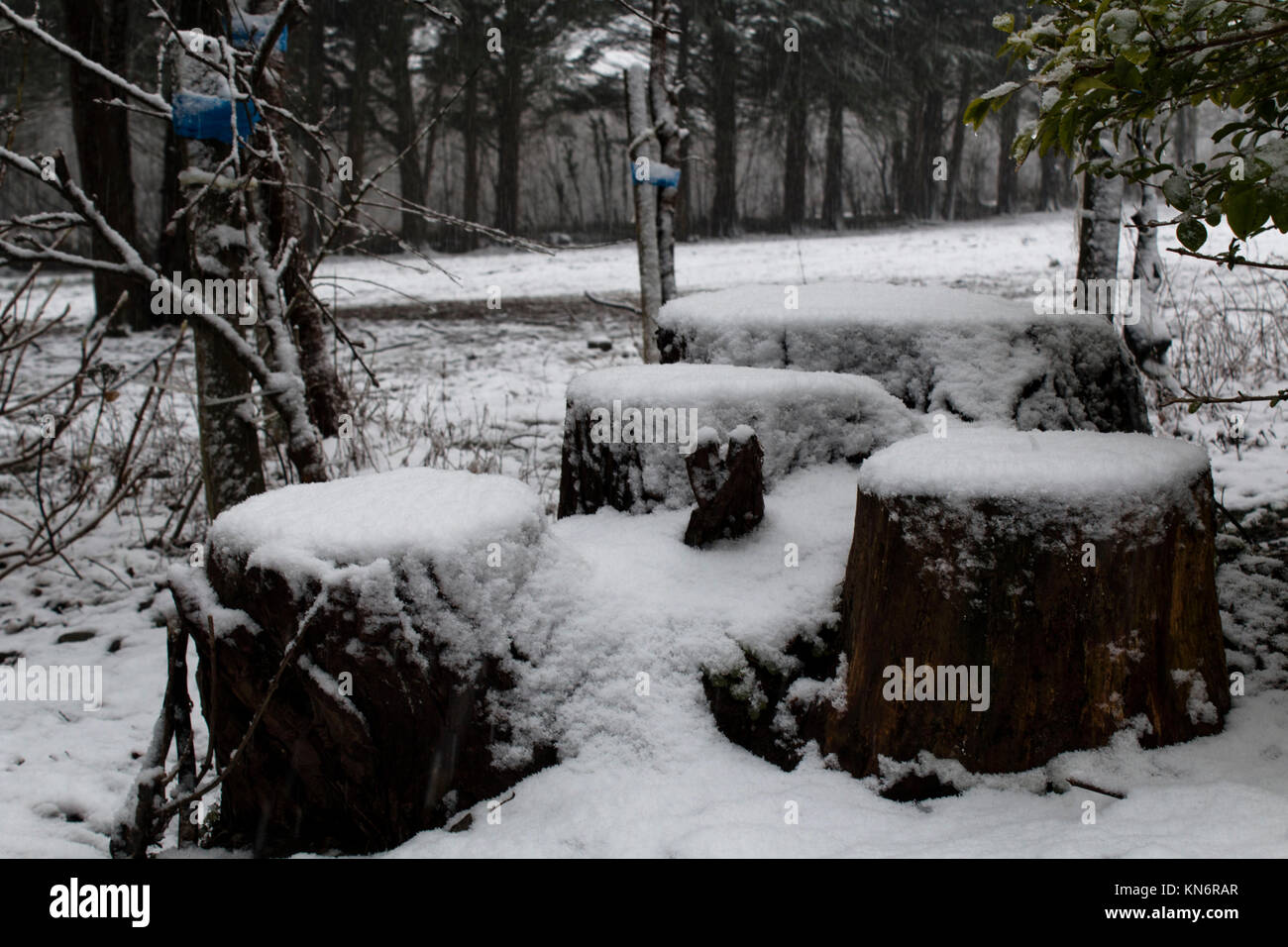 Snow Day. Comins Coch, Aberystwyth, Ceredigion, Wales, UK. 10th
