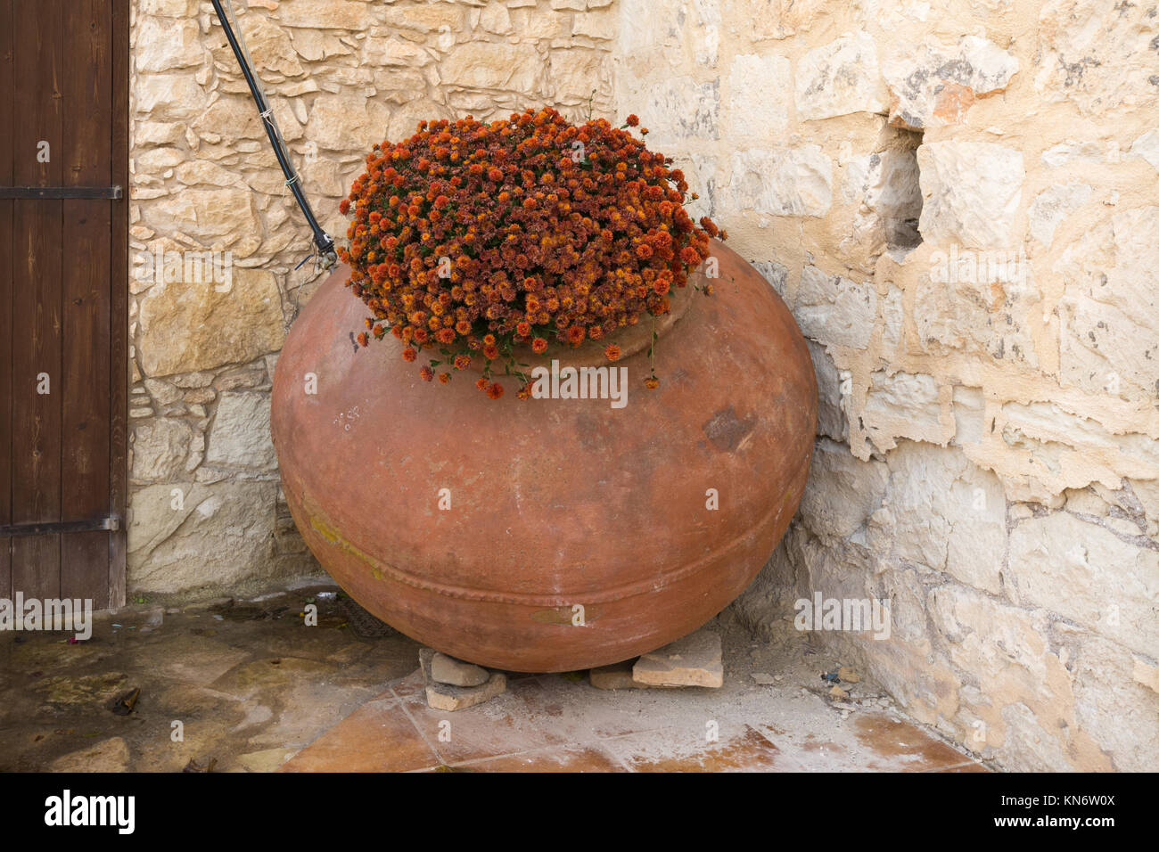 Large ceramic plant pot with red flowers in the village of Neo Chorio
