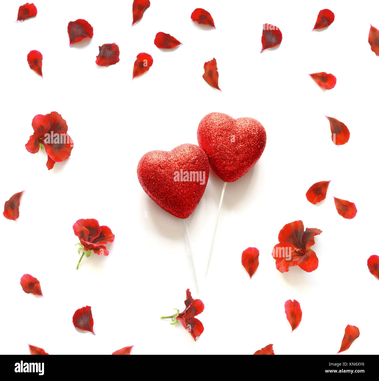 Two shiny red hearts on a white background, studded with flower petals. Valentine's Day Stock