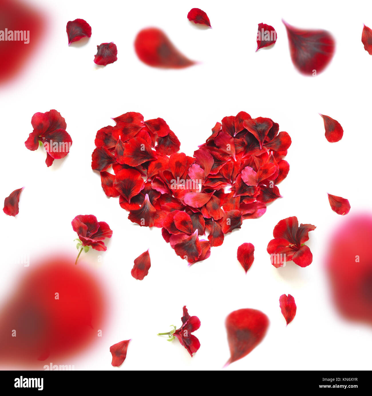 My Image 12
