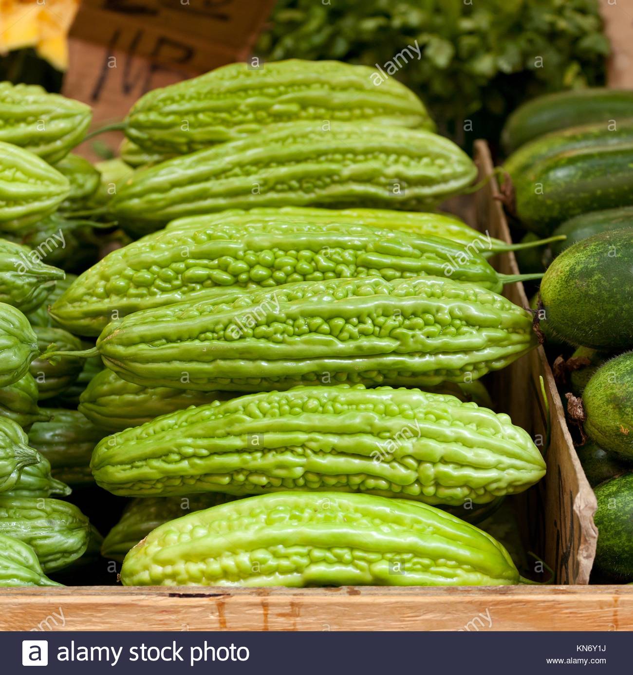 Bitter Vegetables Stock Photos & Bitter Vegetables Stock Images Alamy