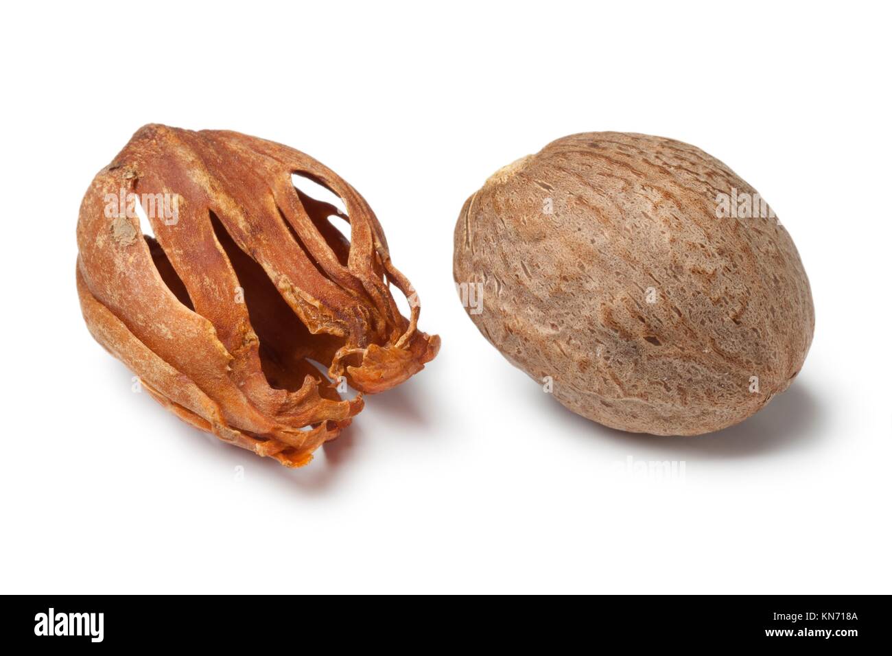 Single nutmeg kernel and mace on white background. Stock Photo