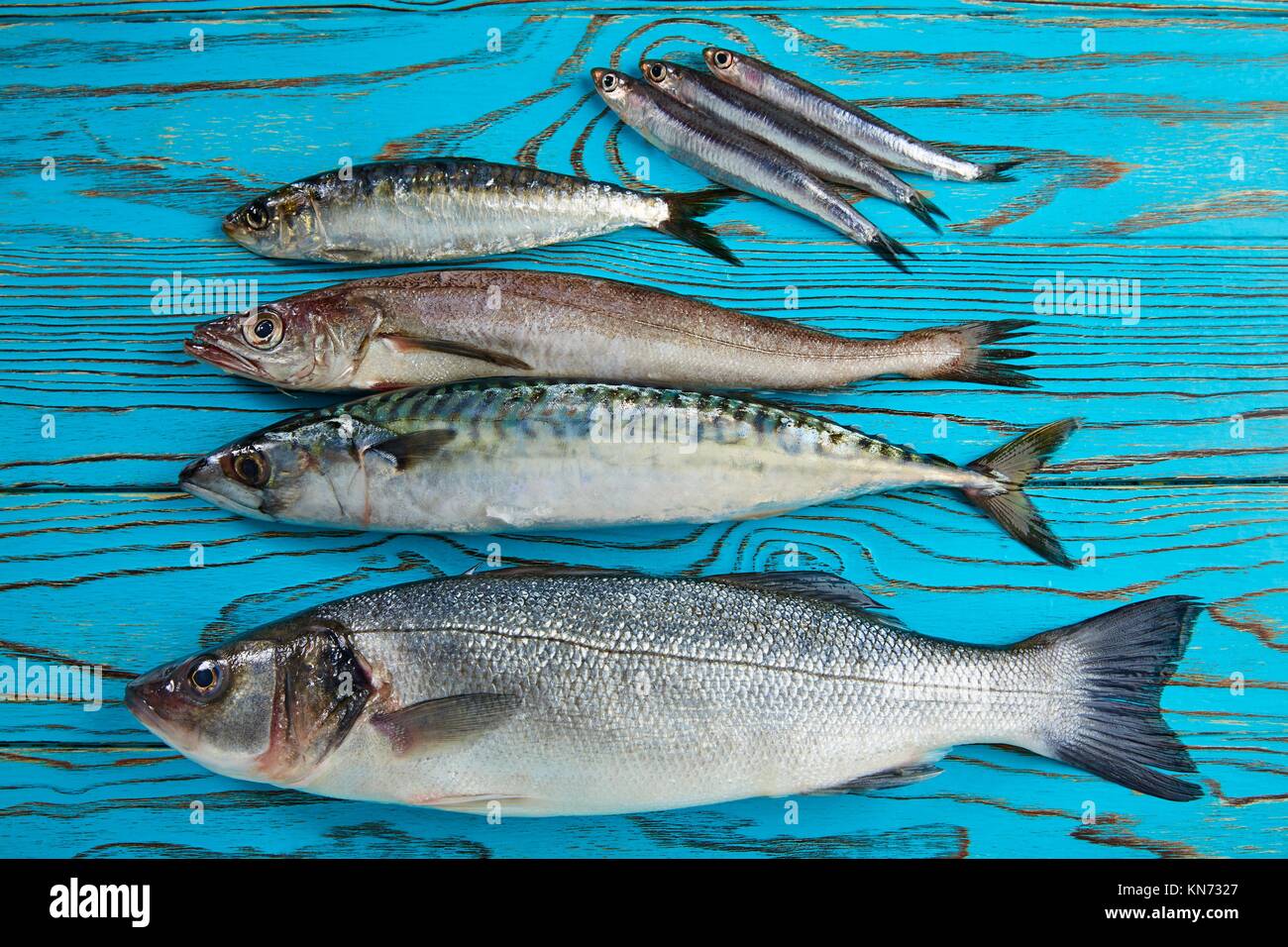 Fresh fishes mix hake seabass sardine mackerel anchovies Stock Photo