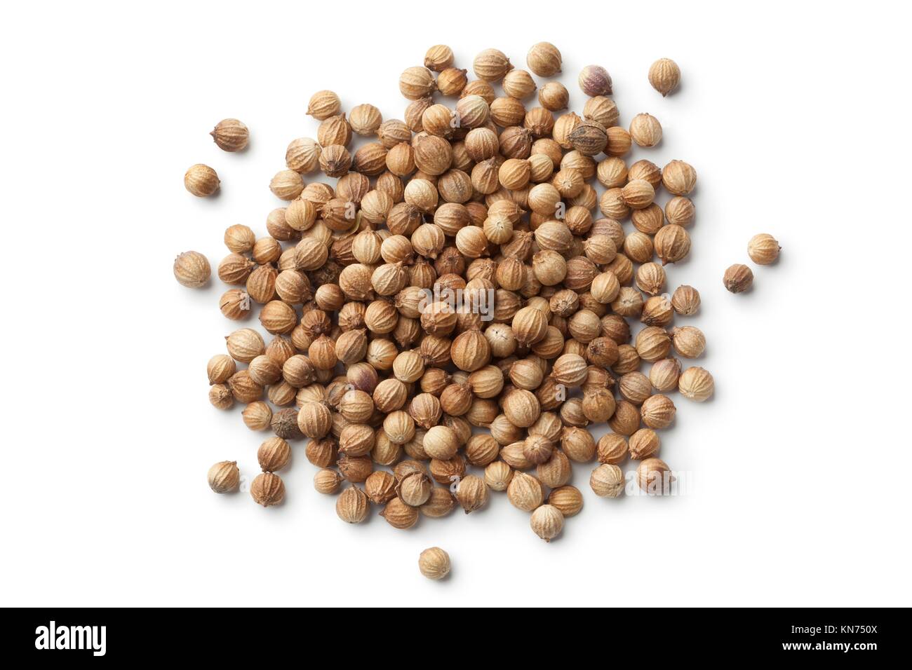Dried coriander seeds on white background Stock Photo Alamy