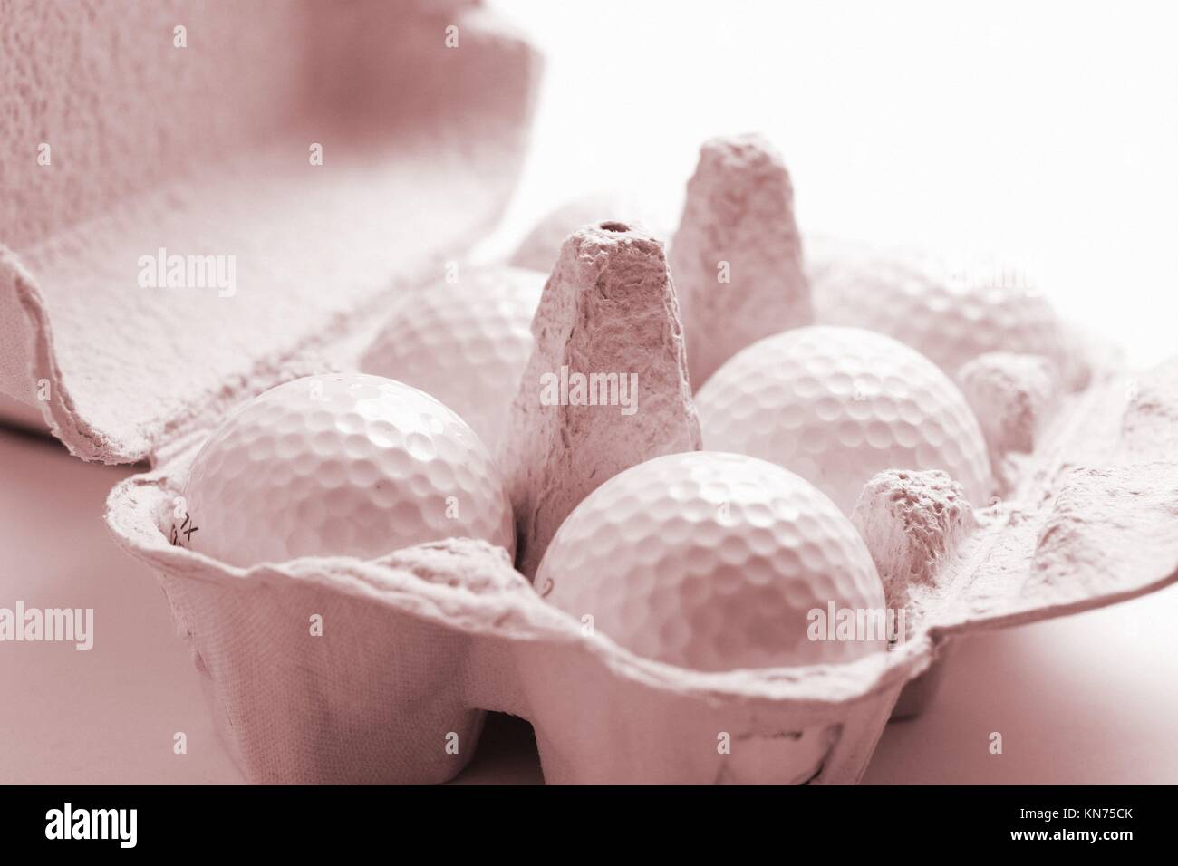 Golf balls in egg carton Stock Photo Alamy