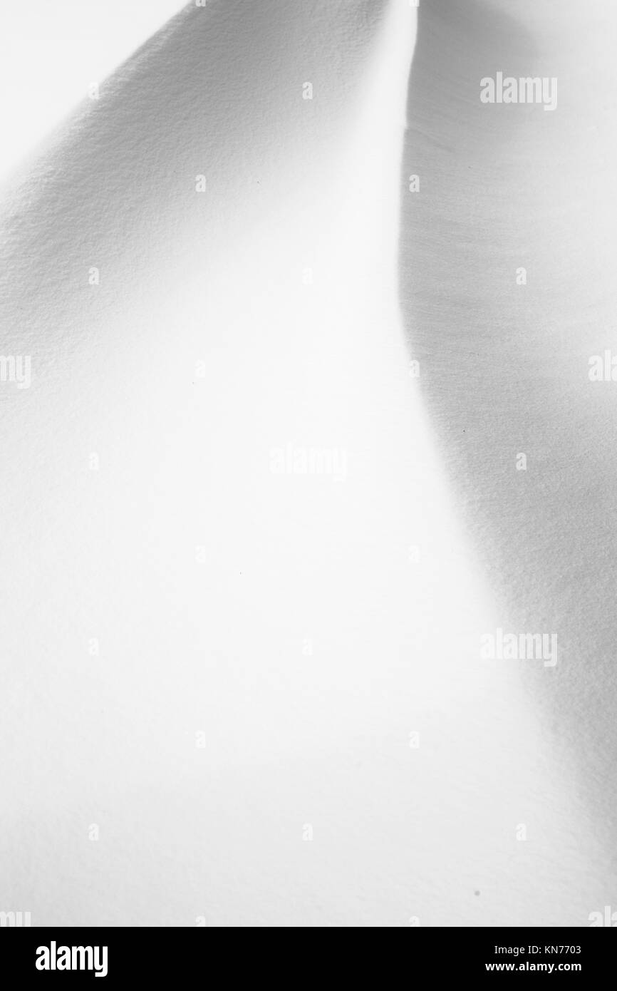 Clean detail Black and White Stock Photos & Images - Alamy