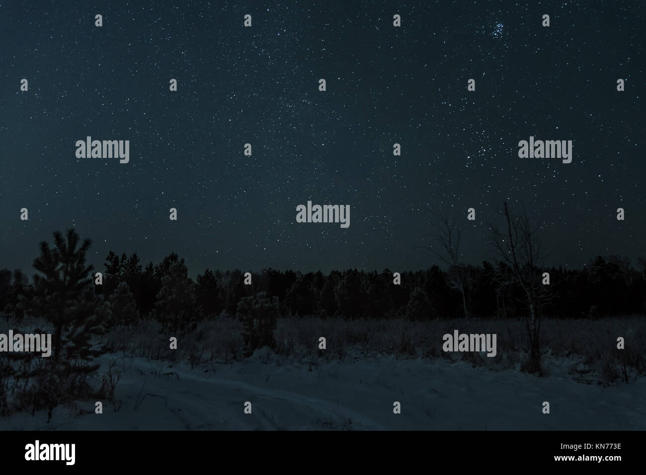 Starry night sky forest hi-res stock photography and images - Alamy
