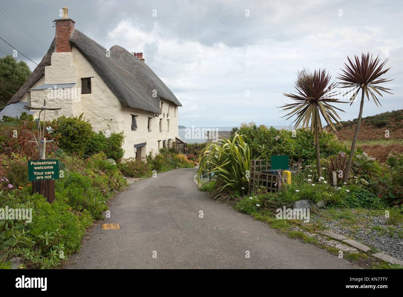 Seaside cottage in Lizzard Peninsula, Cornwall, UK Stock Photo Alamy