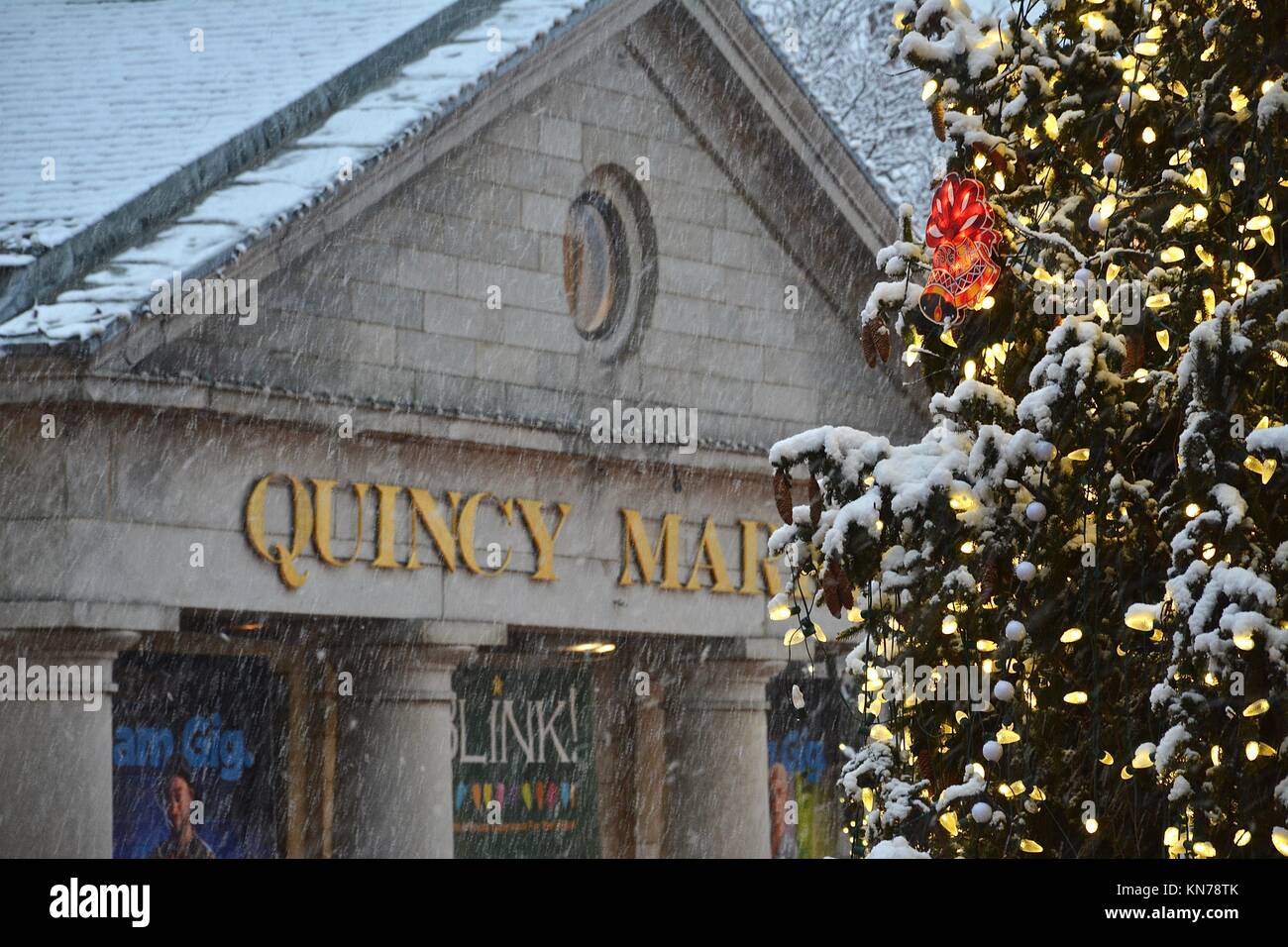 The iconic Faneuil Hall/Quincy Market Christmas tree seen in downtown