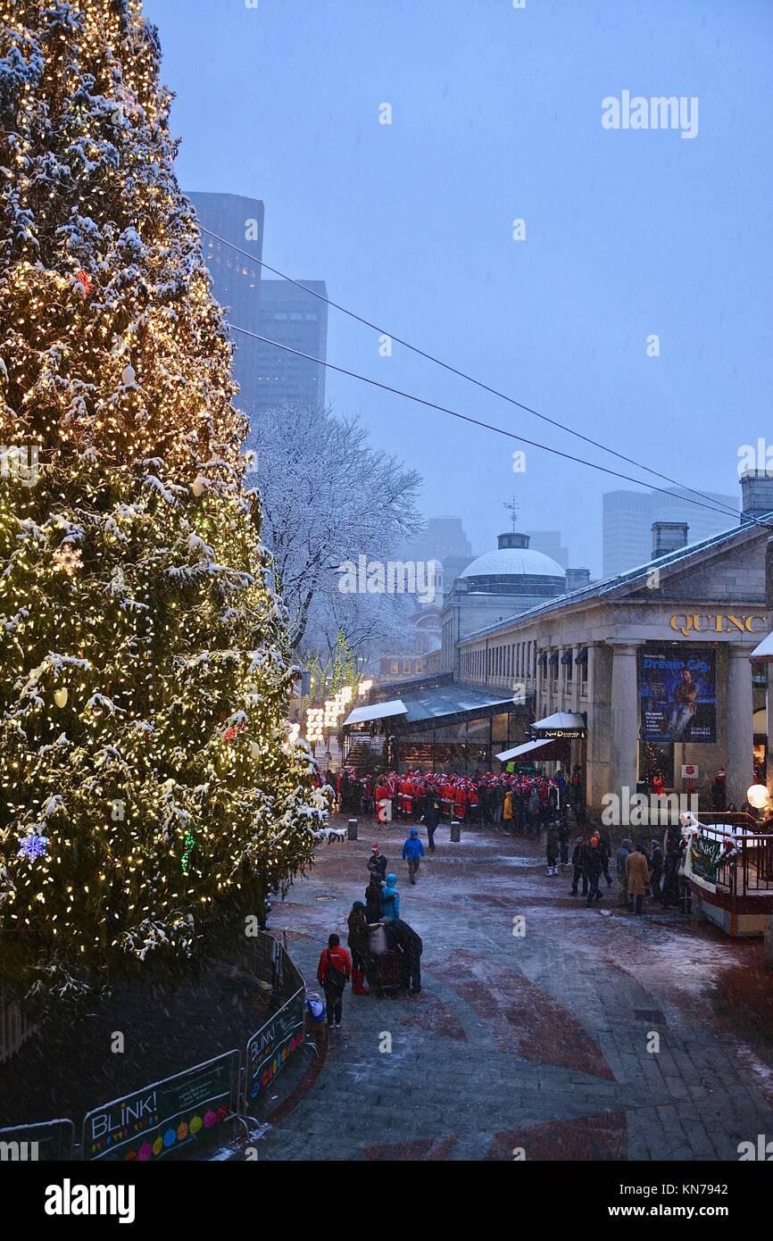 Faneuil hall 2024 christmas tree