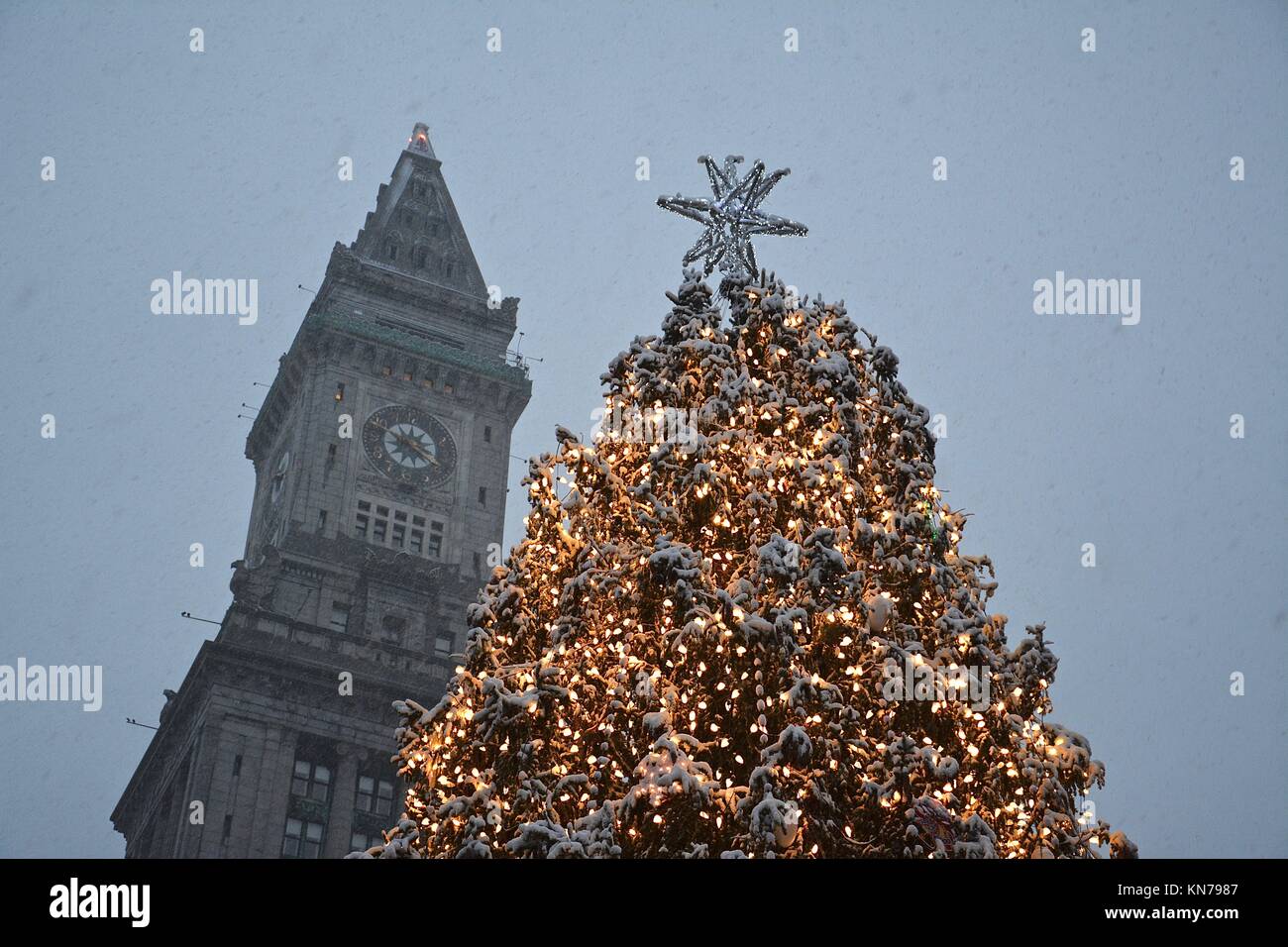 The iconic Faneuil Hall/Quincy Market Christmas tree seen in downtown