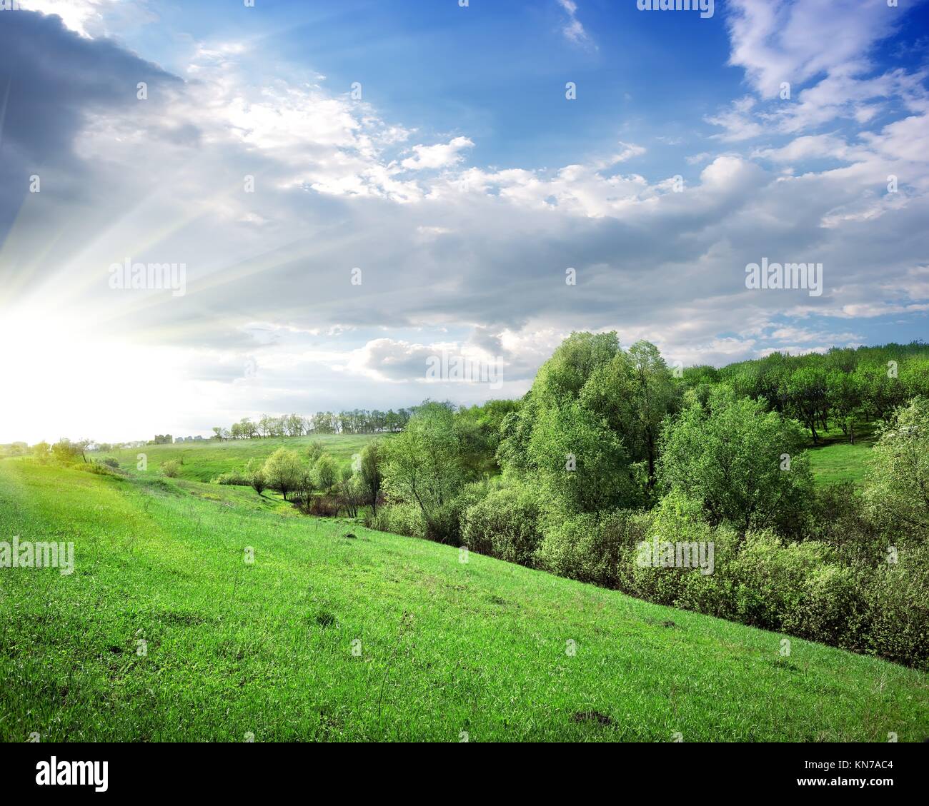 Green Forest Hill Landscape As a High Definition Panorama Stock Photo -  Image of nature, landscape: 199618368