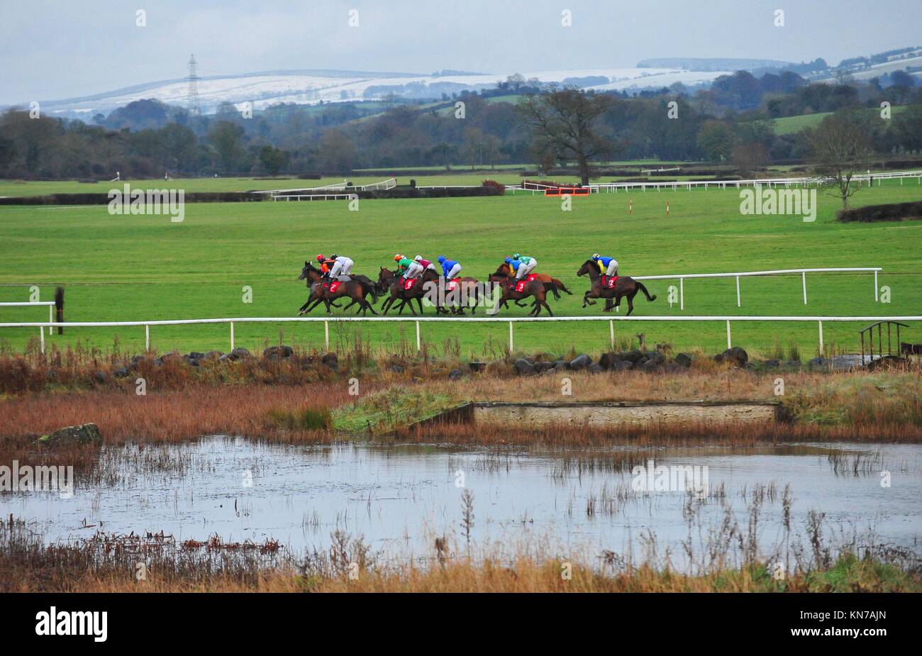 Runners and riders in action at Punchestown Racecourse, Naas Stock