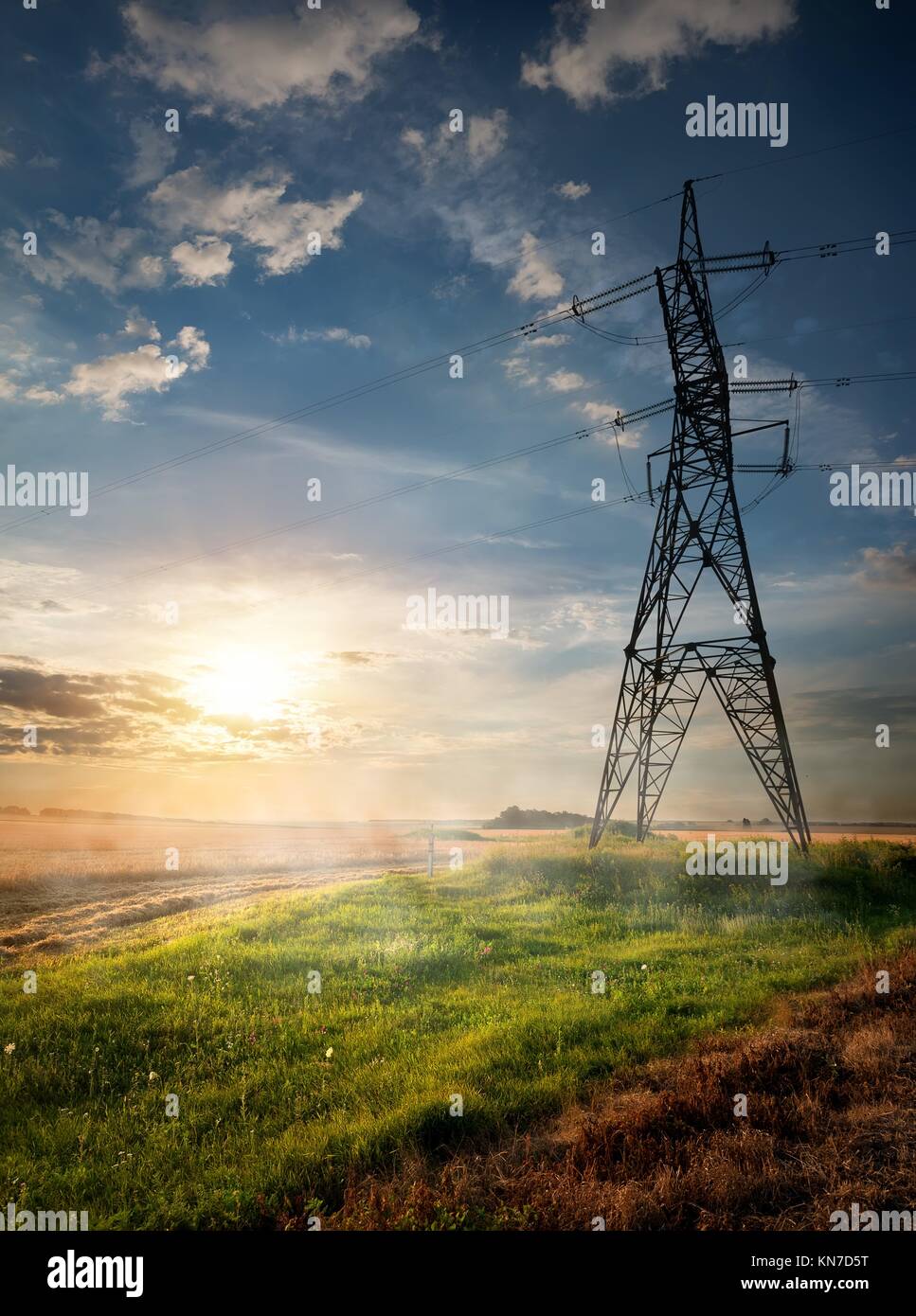 Electric pole and autumn field at sunrise Stock Photo - Alamy