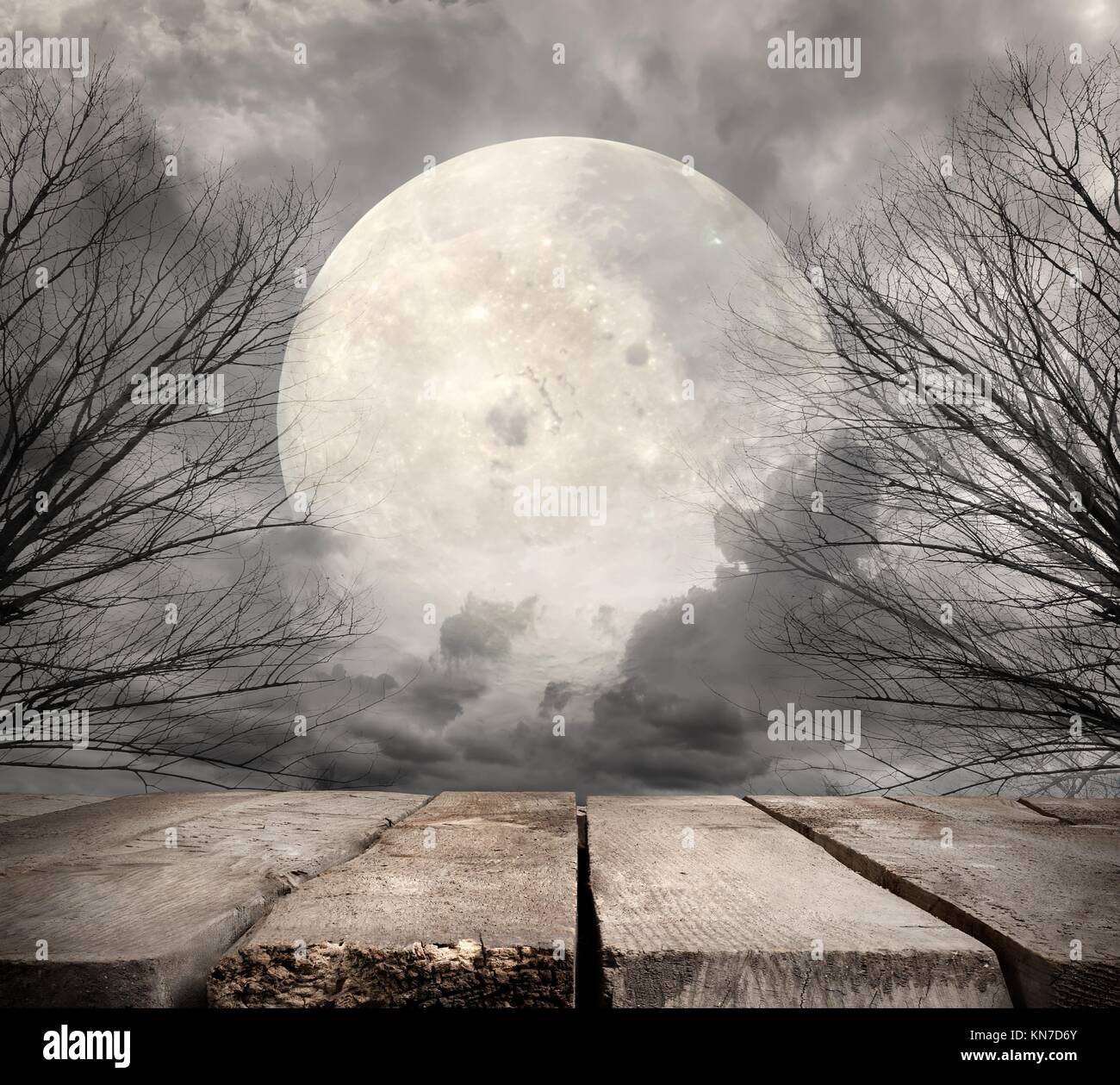 Moon light forest spooky hi-res stock photography and images - Alamy