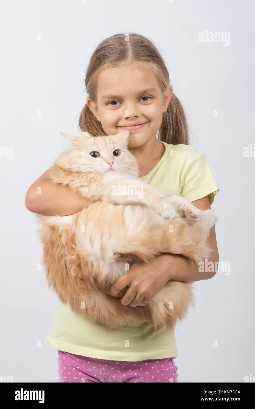 Six year old girl is holding adult domestic cat Stock Photo Alamy