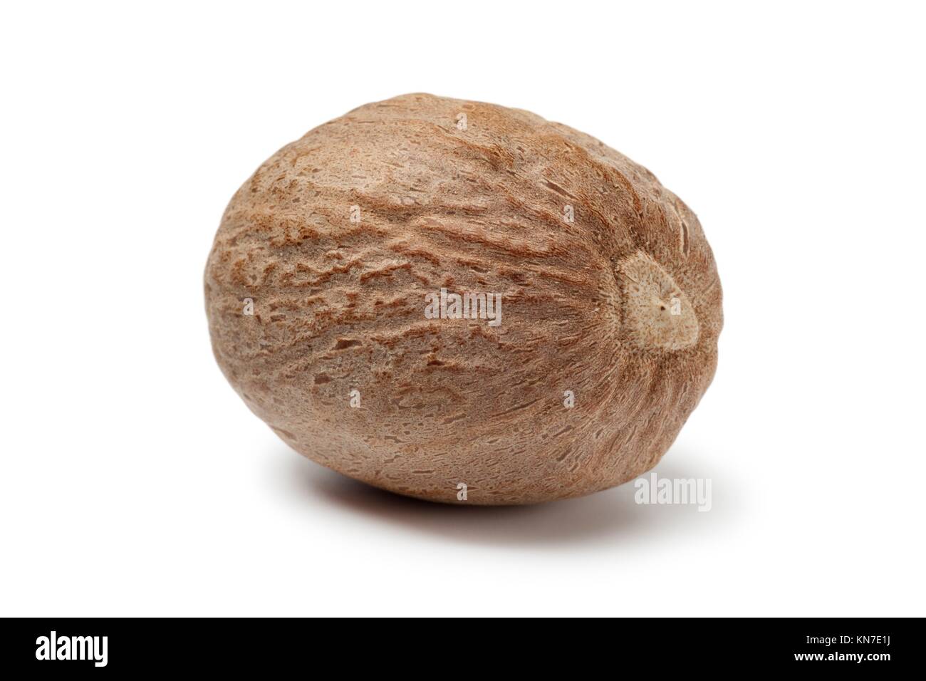 Single nutmeg kernel on white background. Stock Photo