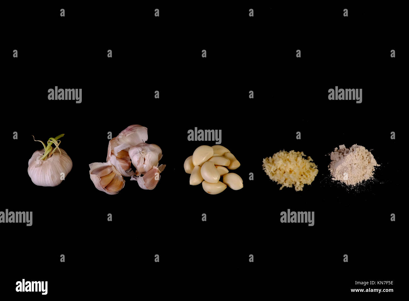 Garlic Mustard Life Cycle at Elaine Blodgett blog