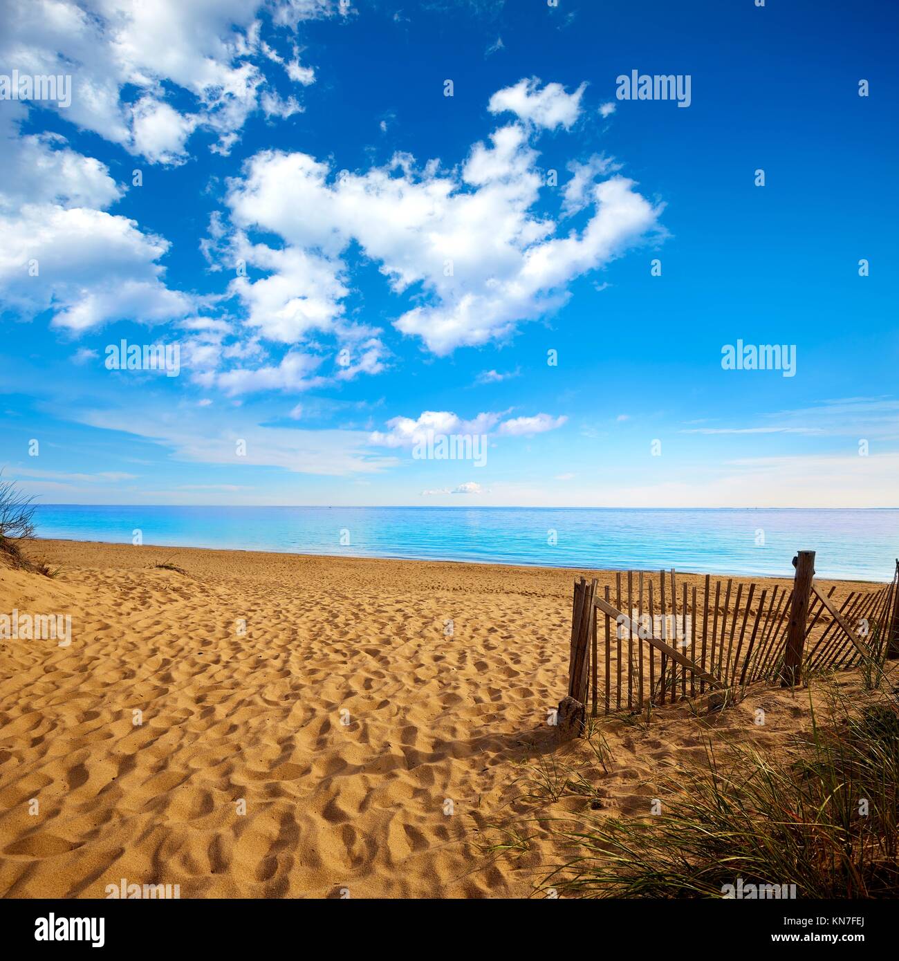 Cape Cod Herring Cove Beach in Massachusetts USA Stock Photo Alamy