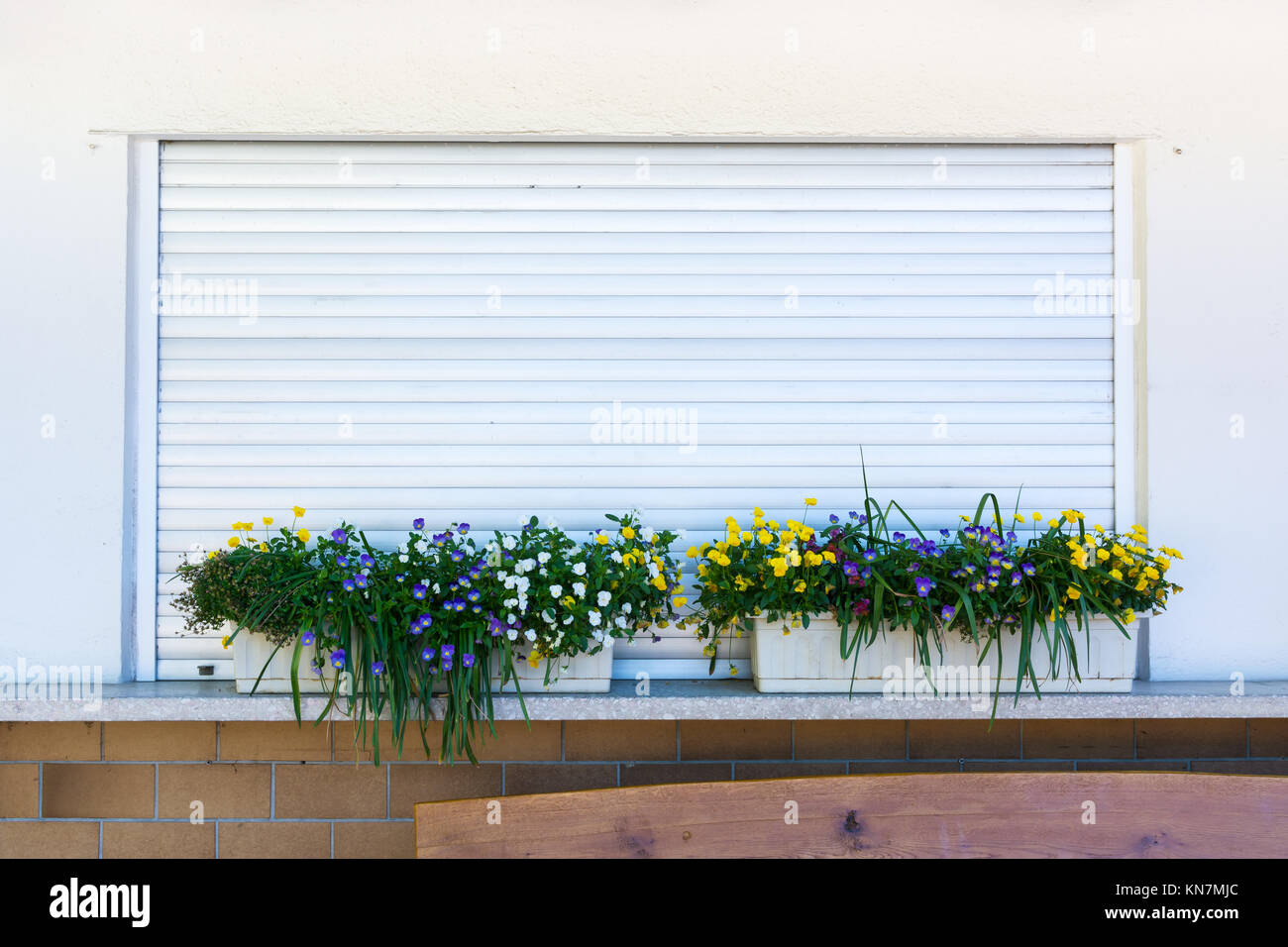 Flower Planter Box Grass over Closed Metal Rolladen German Shop Closing Time Wall Straight Stock Photo