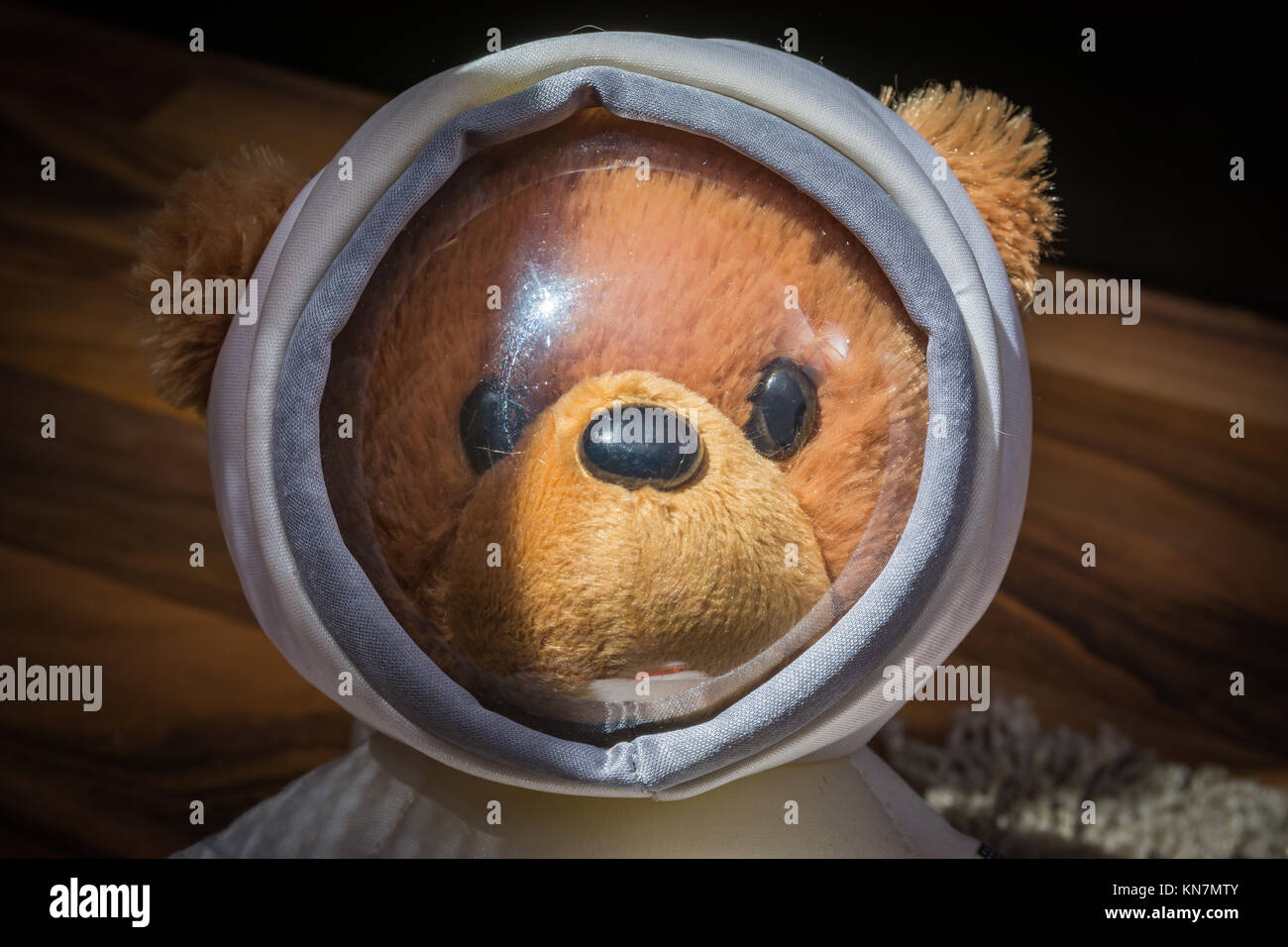 astronaut teddy