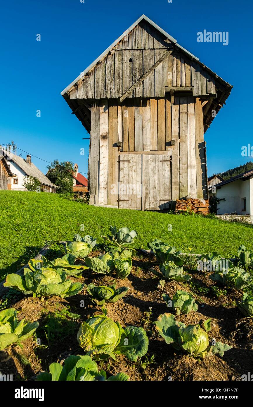 Loski potok hi-res stock photography and images - Alamy