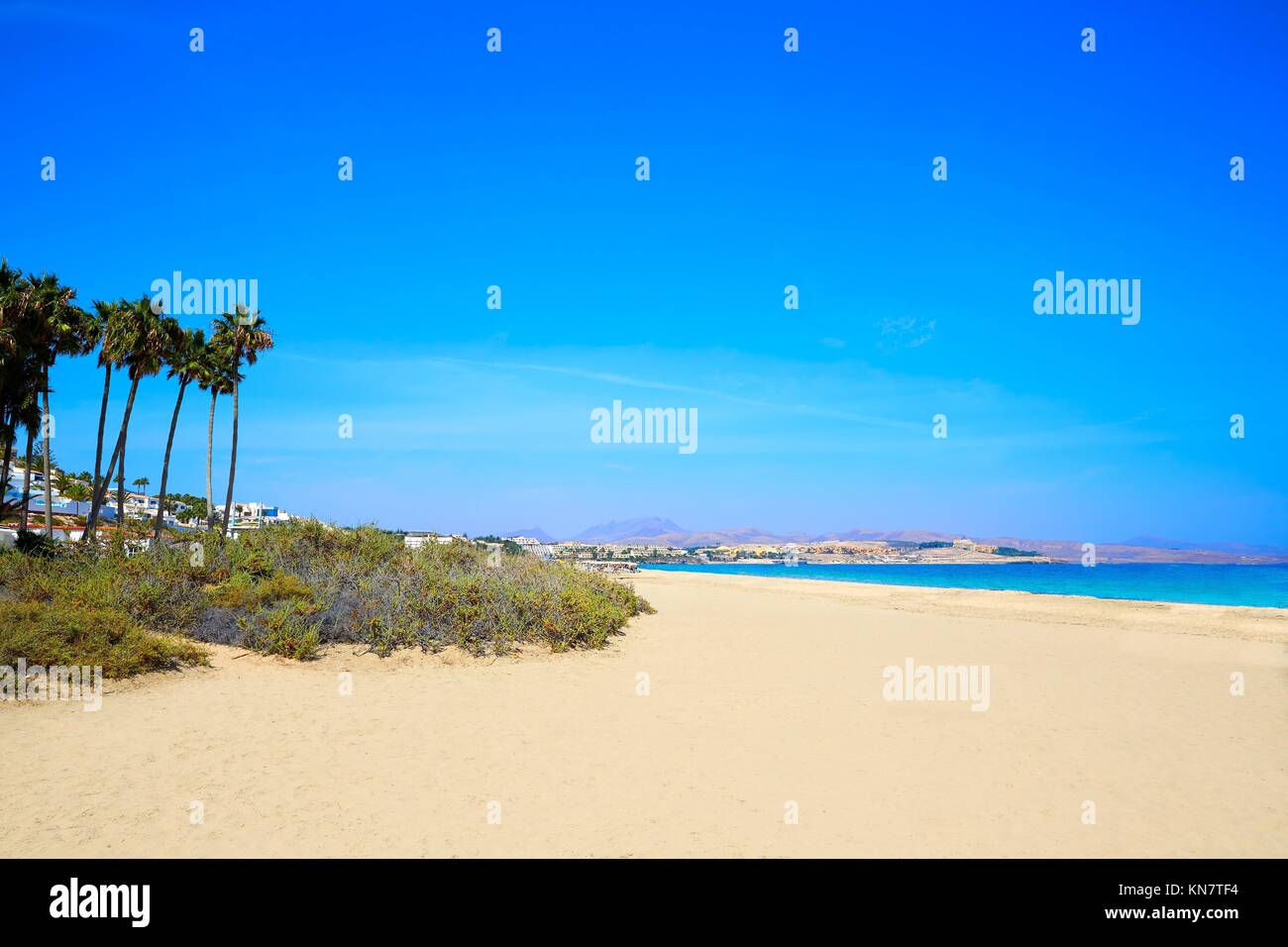 Costa Calma Beach Of Jandia Fuerteventura At Canary Islands Of